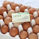 신금호마트 네이버블로그