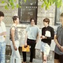 위너 이미지