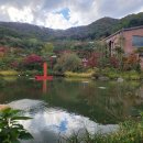 도시농업으로 힐링하기 | 청리움 방문후기 청리움풍경 도시농업관리사 힐링 나들이