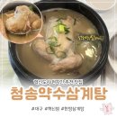 청송한방삼계탕 | 대구 동구 각산동맛집, '청송약수삼계탕 혁신점'에서 한방삼계탕으로 몸보신 | 혁신도시 맛집, 나불지...