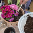 대전광역시립제2노인전문병원 이미지