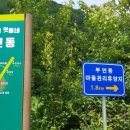 부연동백숙 이미지