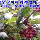 정성농장 이미지