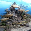 부산횟집 이미지