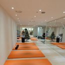 MK 휘트니스 | 학동역 pt MK 휘트니스에서 개인피티 받은 후기