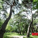 송계사 - 1860 | 송계사