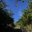 당근바다 이미지