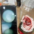 KT, LG U+, 알뜰폰에서 SK텔레콤으로? 지금이 기회! 통신사 이동 이벤트 총정리