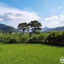 평사리공원 야영장 이미지