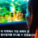 유로 당구클럽 네이버블로그