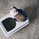25시 동물병원 이미지