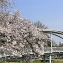 온천2동-22 이미지