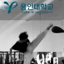 용인대백상태권도 이미지