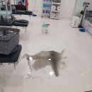 엠에스병원 | 울산인력사무소 엠에스피플 병원 왁스대청소 믿고 맡긴 후기