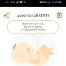 모던중식당도마 이미지