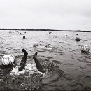 숨비소리 이미지