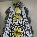 영월전국꽃배달