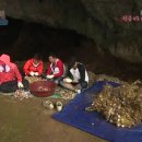 가곡동굴팬션 이미지