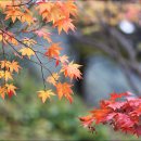 카페둥둥 - 파주시 검산로519번길 6-20 | 카페둥둥
