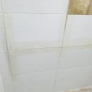 명성타일 이미지