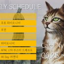 [역삼 카드냥][6/30(금)][APAC 토끼의 해 LTR 드래프](댓글 음료수증정이벤트) 이미지