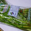 치산미나리 이미지