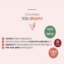 도그플랜 | 동원 뉴트리플랜 고양이캔 콤보6종160g 24캔 통조림 습식간식 파워도그 실구매 찐 후기입니다