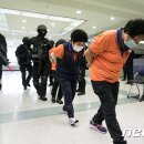 대원특수여객 이미지