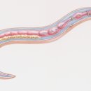 내아이 동물병원 이미지