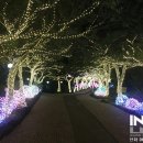 제주허브동산 이미지