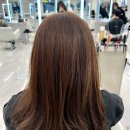 미금역 헤어샵 헤어다이아 미금점 염색 및 커트 후기 가성비 분당 헤어샵 추천