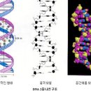 mRNA 백신의 놀라운 변화 이미지