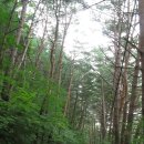 외씨버선길(영양연결구간) 이미지