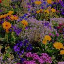 정스테이 이미지