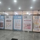 베네뷰티