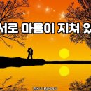 우리 서로 마음이 지쳐 있을 때 이미지