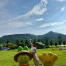 여수랑남도랑여행협동조합 이미지