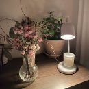 회인동물병원 | 5월일상 #4 피크닉 매니아 등극 🌿 / 양화한강공원, 집들이, 스킨케어, 성수 오스테리아 파로, 엄마생신파티