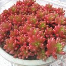 행복한이야기 이미지