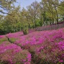 고강선사유적공원 이미지