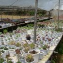 판교농장 이미지