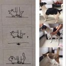 강아지와 고양이 이미지
