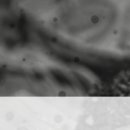 박앤김내과의원 이미지