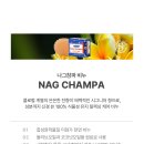 코끼리뷰티