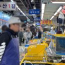 단골수산 | 흑산수산 / 가락시장 회 맛집 / 단골후기