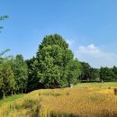 윤영농장 이미지