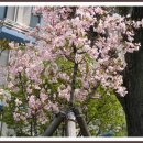 조선대학교병원 이미지