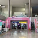 더마피스 이미지