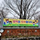 저단5 네이버블로그