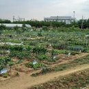 수성농장 이미지